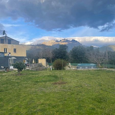 Le Coin Tranquille Hotell Morosaglia Exteriör bild